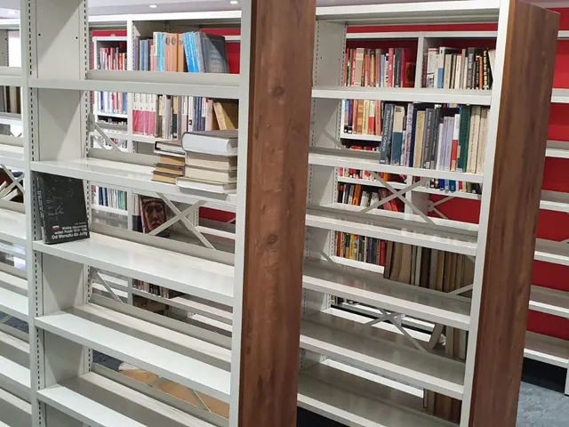 Estanterías de biblioteca con libros